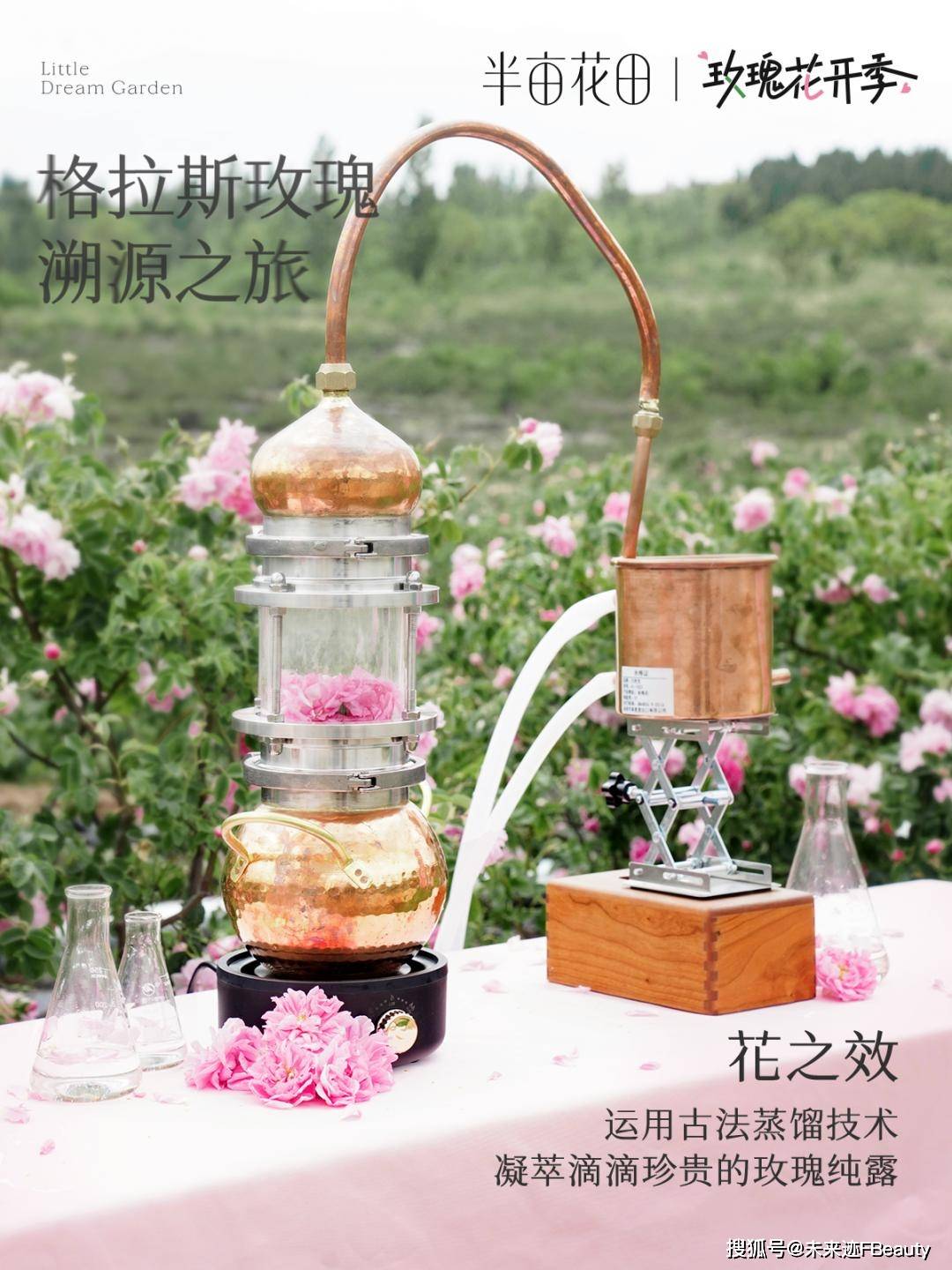 榜背后半亩花田的“花”式创新密码CQ9电子中国网站解码618霸(图7)